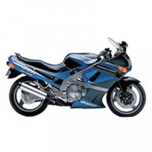 1998-2003 Kawasaki ZZR600 Fairings Canada Websites