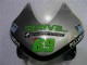 2003-2004 Honda CBR600RR Motorcycle Fairing - Silver Green Glossy Black Canada Websites