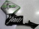 2003-2004 Honda CBR600RR Motorcycle Fairing - Silver Green Glossy Black Canada Websites