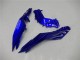 2013-2017 Kawasaki Ninja 300 EX300R Motorcycle Fairings - Blue Black White Flame Canada Websites