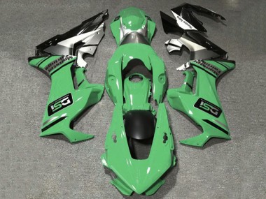 2017-2023 Honda CBR1000RR Motorcycle Fairings - Light Green White Silver Glossy Black DSI Canada Websites
