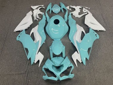 2019-2022 Kawasaki ZX6R Motorcycle Fairings - White Aqua Blue Canada Websites