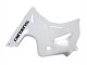 2003-2013 Suzuki SV650 Motorcycle Fairings - White Canada Websites