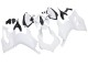 2020-2024 Ducati Panigale V2 Motorcycle Fairings - Unpainted Canada Websites