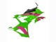 2023-2024 BMW S1000RR Motorcycle Fairings - Pink Green Black Canada Websites