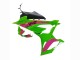 2023-2024 BMW S1000RR Motorcycle Fairings - Pink Green Black Canada Websites