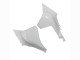 2020-2025 Yamaha YZF 1000 R1 Motorcycle Fairing - Unpainted Canada Websites