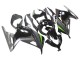 2013-2024 Kawasaki EX300 Motorcycle Fairings - Glossy Black Matte Black Green Canada Websites