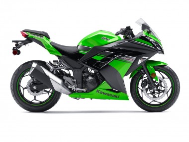 2013-2024 Kawasaki EX300 Motorcycle Fairing - Green Black Canada Websites