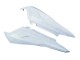 2006-2011 Aprilia RS125 Motorcycle Fairings - Unpainted Canada Websites