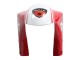 1993-2005 Ducati 748/916/996/998 Motorcycle Fairings - White Red Yellow Green Glossy Black Performance Canada Websites