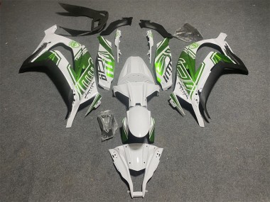 2011-2015 Kawasaki ZX10R Motorcycle Fairings - White Green Matte Black Canada Websites