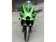 2021-2025 Kawasaki ZX10R Motorcycle Fairings - Green Glossy Black Canada Websites