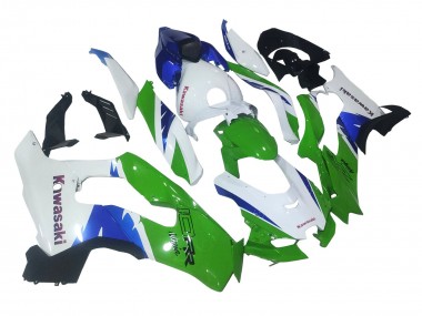 2021-2025 Kawasaki ZX10R Motorcycle Fairings - White Green Blue Black Canada Websites