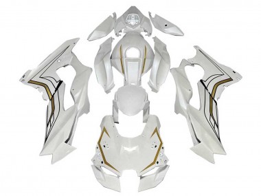 2021-2025 Kawasaki ZX10R Motorcycle Fairings - White Gold Canada Websites