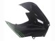 2012-2024 Kawasaki ZX14R ZZR1400 Motorcycle Fairings - Green Glossy Black Stripe Canada Websites