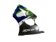 1998-1999 Kawasaki ZX6R Motorcycle Fairings - Green White Blue Silver Glossy Black Canada Websites