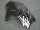 1996-2007 Suzuki GSXR 1300 Hayabusa Motorcycle Fairings - Matte Black Hayabusa Canada Websites