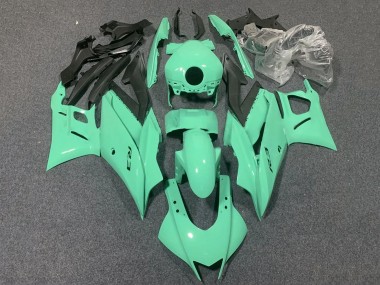 2022-2024 Yamaha YZF R3/R25 Motorcycle Fairings - Light Green Canada Websites