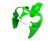 2000-2001 Kawasaki ZX9R Motorcycle Fairings - Green Canada Websites