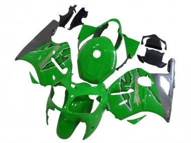 2002-2006 Kawasaki ZX12R Motorcycle Fairings - Green Silver Canada Websites