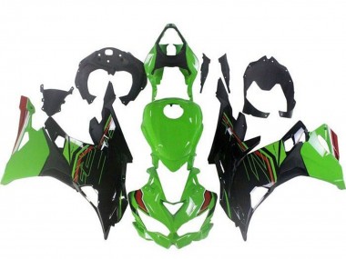 2019-2025 Kawasaki ZX4R ZX-4RR Motorcycle Fairings - Green Black Red Canada Websites