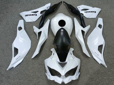 2019-2025 Kawasaki ZX4R ZX-4RR Motorcycle Fairings - White Matte Black Canada Websites