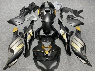 2019-2025 Kawasaki ZX4R ZX-4RR Motorcycle Fairings - Matte Black Glossy Black Grey Gold Canada Websites